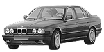 BMW E34 P1387 Fault Code