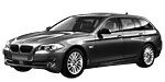 BMW F11 P1387 Fault Code